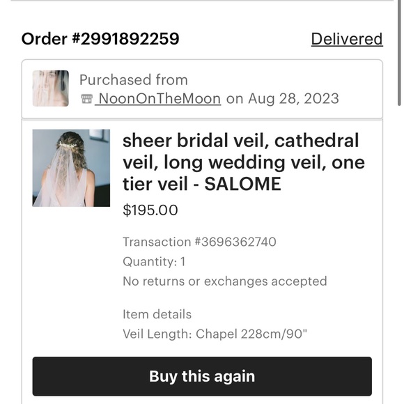 NoonOnTheMoon Sheer Chapel Length Bridal Veil main image 4